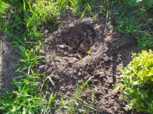 279530806_1330416250702553_575848353685646879_n