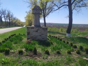 279831191_510902470678790_1993862647562798112_n