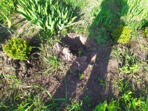 279855055_1855448984648715_7728187420872793671_n